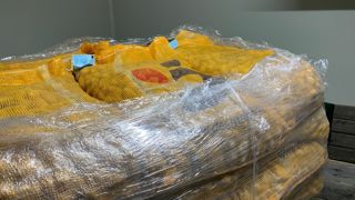 Les tests culinaires et organoleptiques sont réalisés plusieurs fois dans l'année pour voir le comportement des variétés dans le temps et après un stockage au froid.